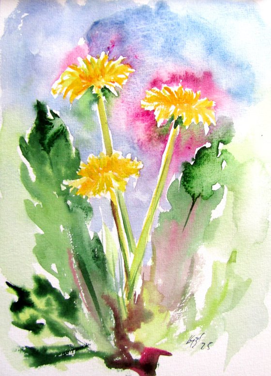 Dandelions II