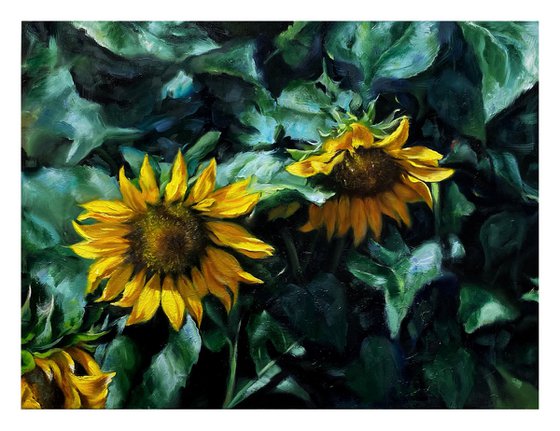 Sunflowers in shadow