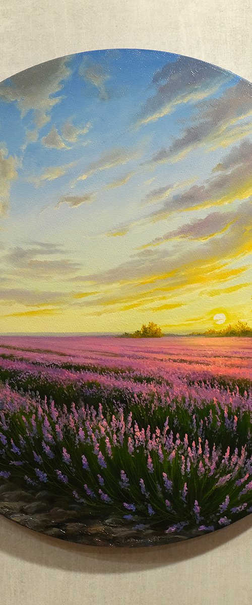 Lavender morning by Eduard Zhaldak