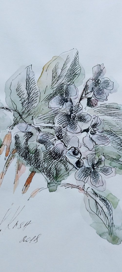 Violet. Original watercolor painting based on a sketch in ink by Elena Klyan