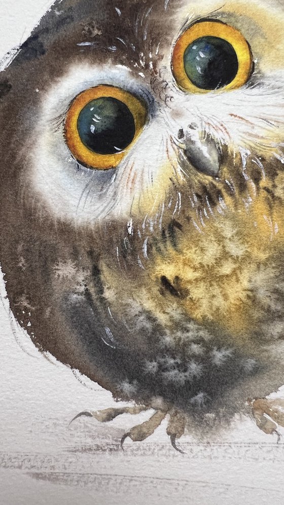 Owls (Diptych)