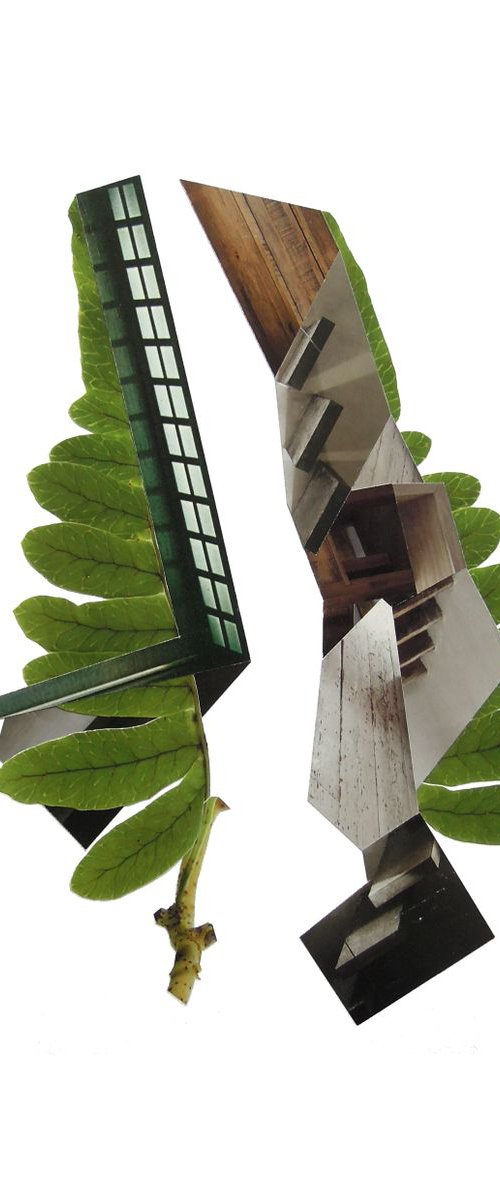 Leaf 5 by Benjamin West
