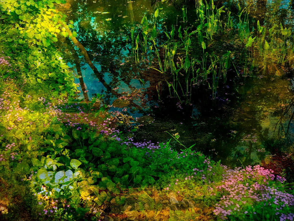 Impressionistic Photograph , Monet Garden By Viet Ha Tran, 25 X 19, Artwork For Sale On Artfinder