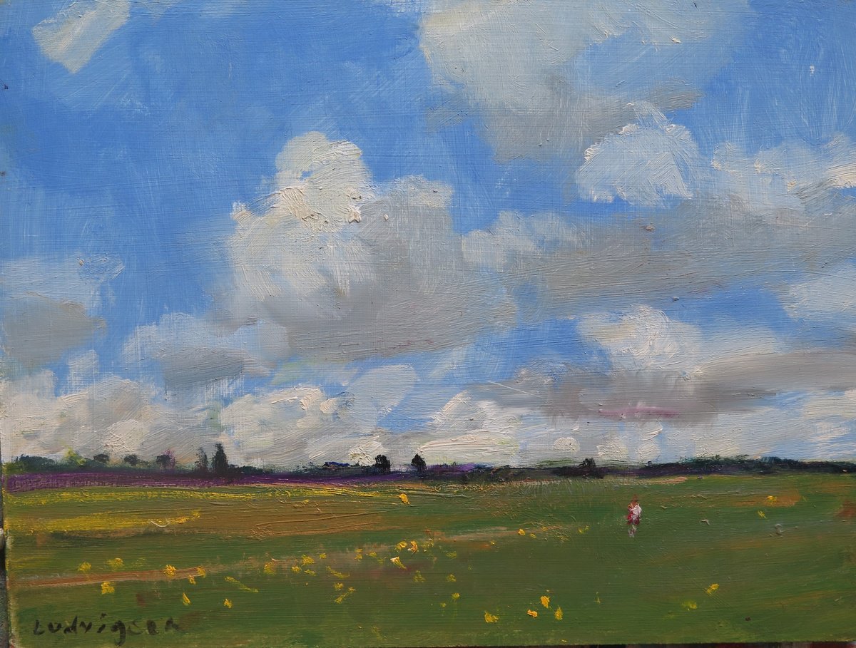 Summer Meadow By Malcolm Ludvigsen, 16 X 12, Artwork For Sale On Artfinder
