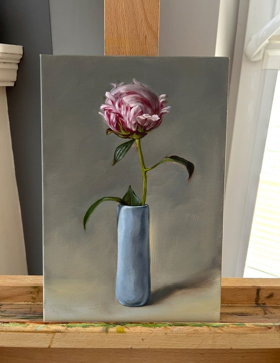 Peony still life