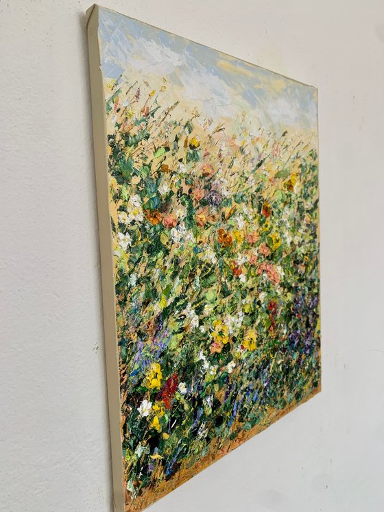 Blooming meadow in summer