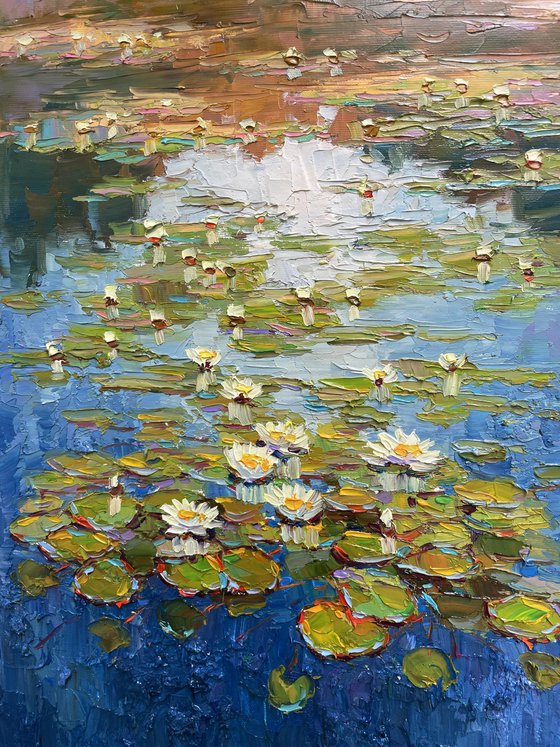 "Water lilies"