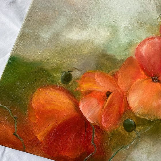 Poppies on Olive