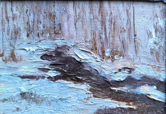 Winter stream