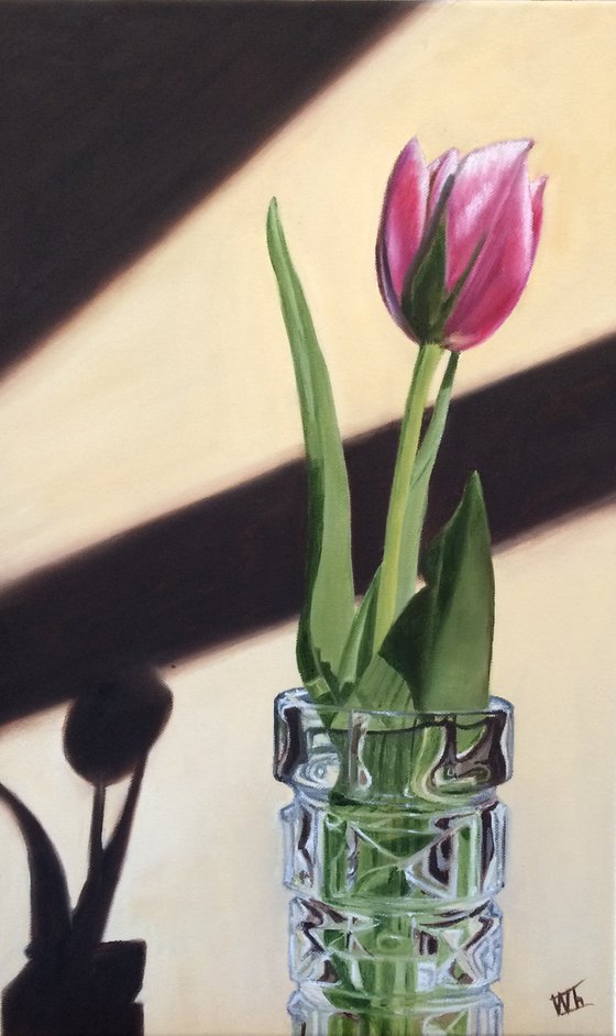 Pink Tulip in a vase