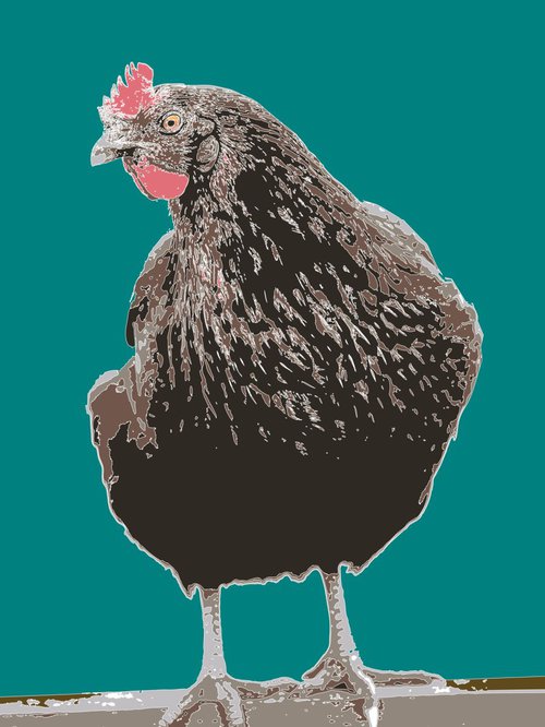 One of Ted's Hens by Keith Dodd