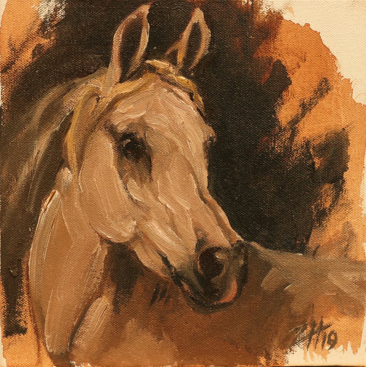 Equine Head Arab White (study 29) by Zil Hoque