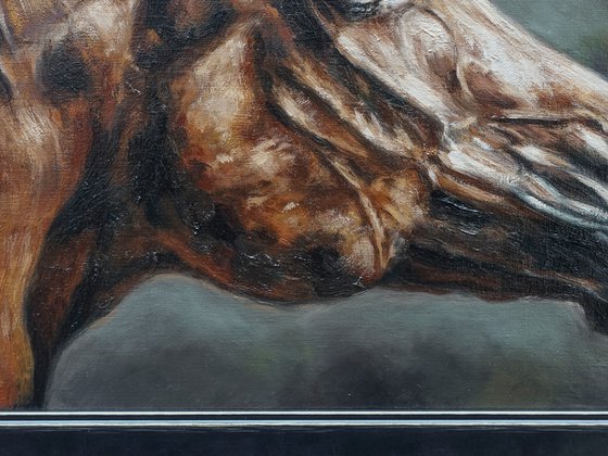 In Motion-Original Horse Portrait