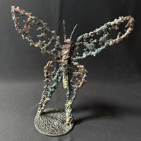 Butterfly 56-25