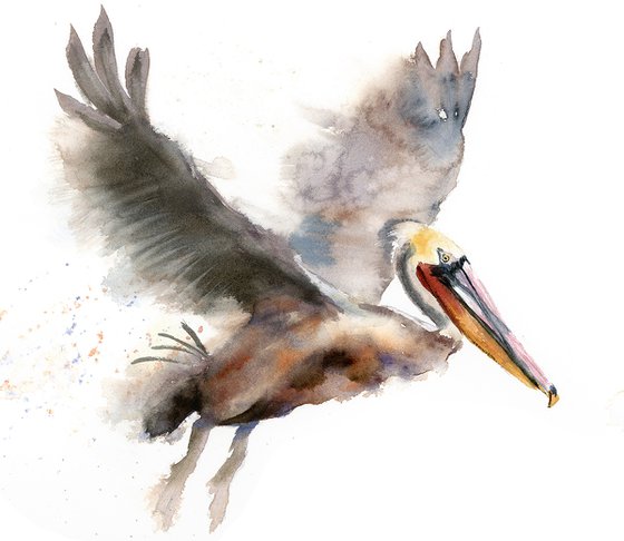 Flying Pelican  -  Original Watercolor Painting