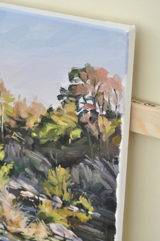 Autumn evening on the Loire river