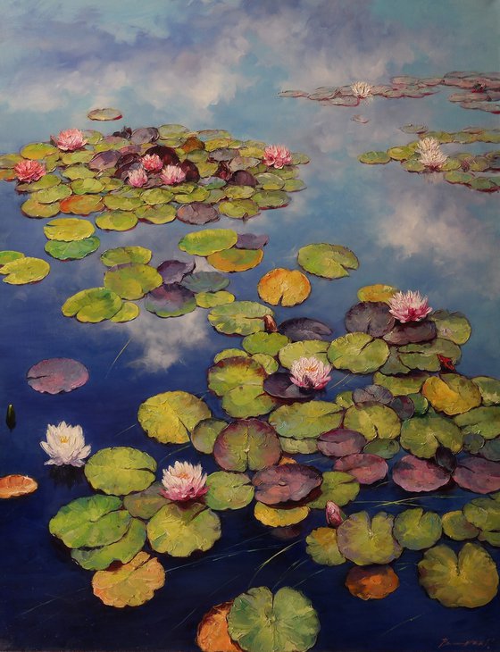 "Waterlilies in the Mirror of the Sky"