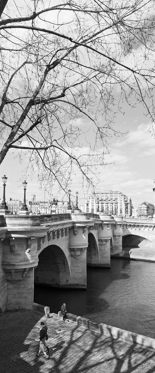 Le Pont Neuf by Alex Cassels