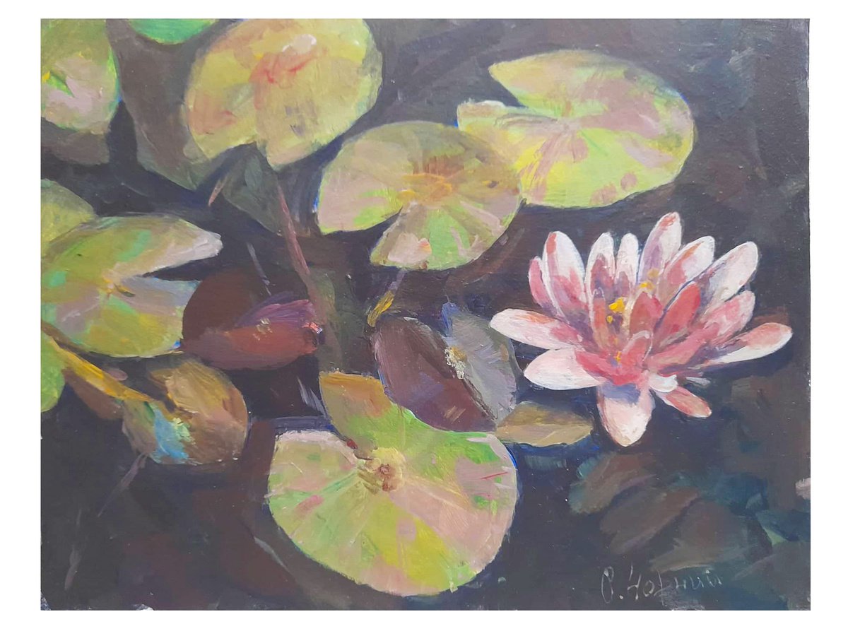 lotus by Oleksa Chornyi