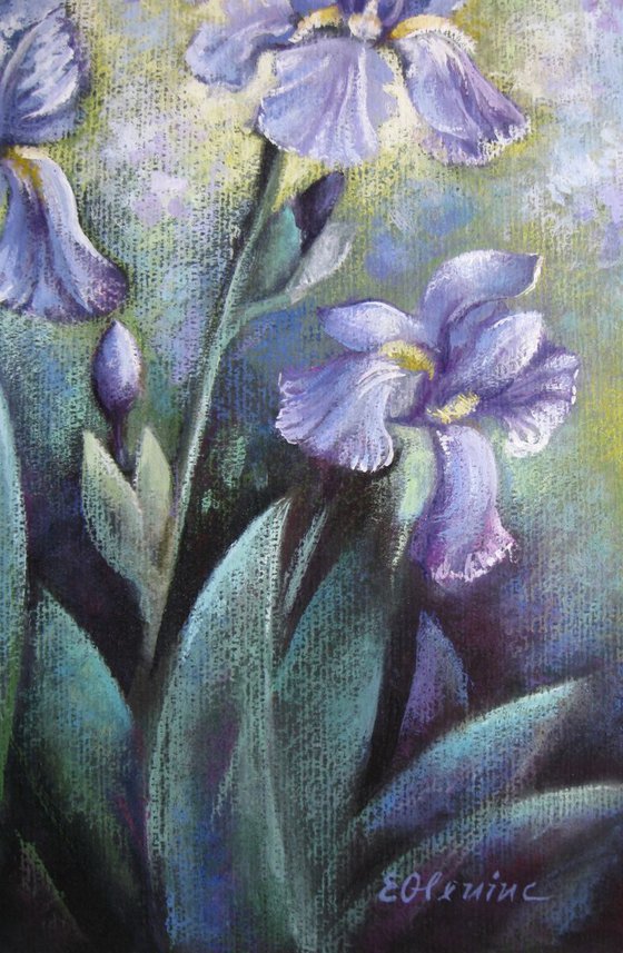 Irises in the garden - floral art