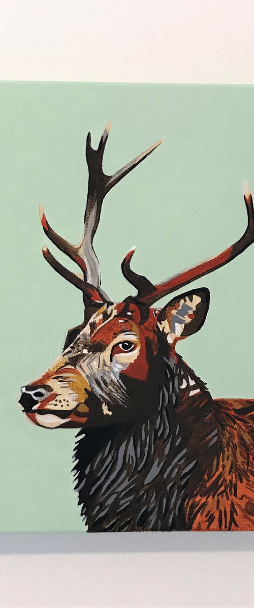 Dear Deer by Lucyanne Terni