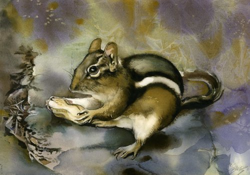chipmunk with peanut by Alfred  Ng