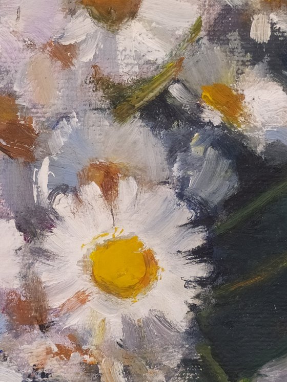 Chamomile