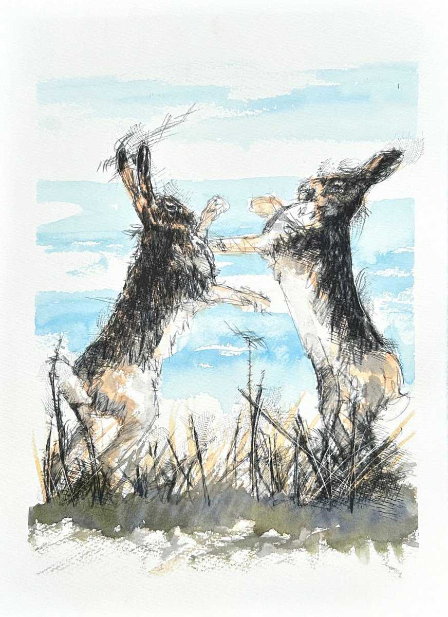 Impressionistic Animal Watercolour By Sean Briggs, 11 X 15", Brown Hares Boxing, Original Artwork