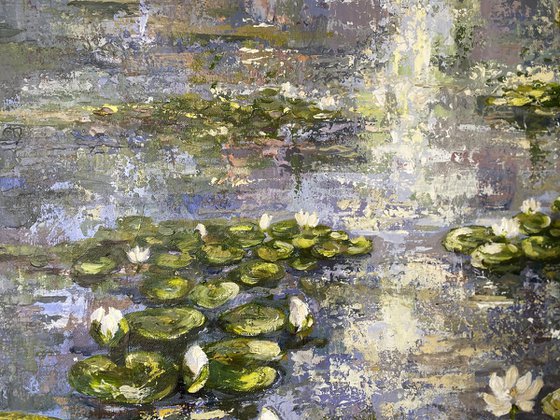 Rain on Lilly pond