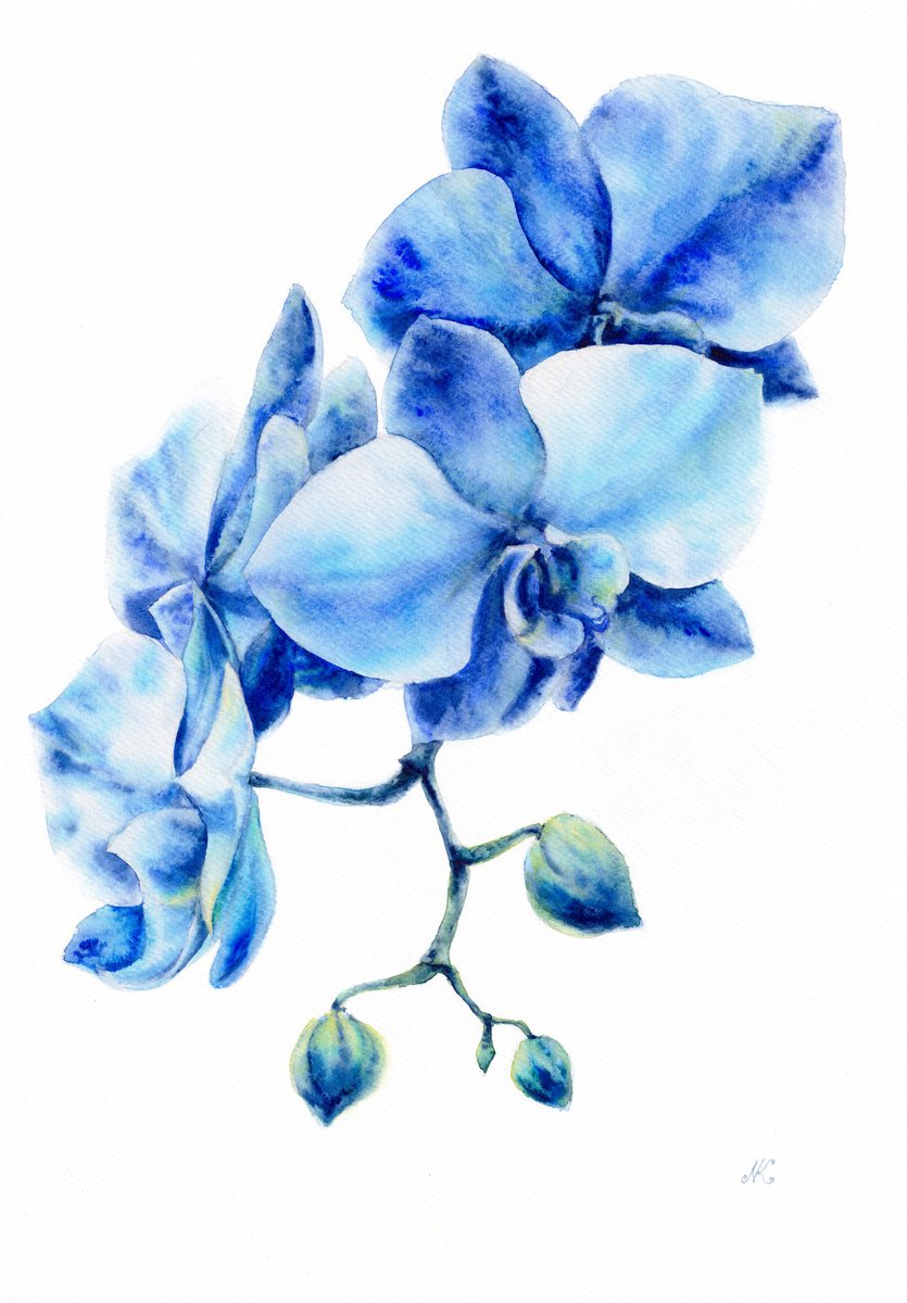 Impressionistic Botanical Watercolour By Kateryna Nazarenko, 12 X 17", Blue Orchids, Original Artwork