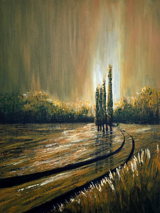 Autumn Illuminations