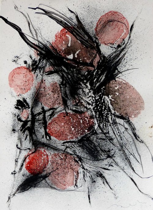 Fruity abstract, 29x41 cm by Frederic Belaubre