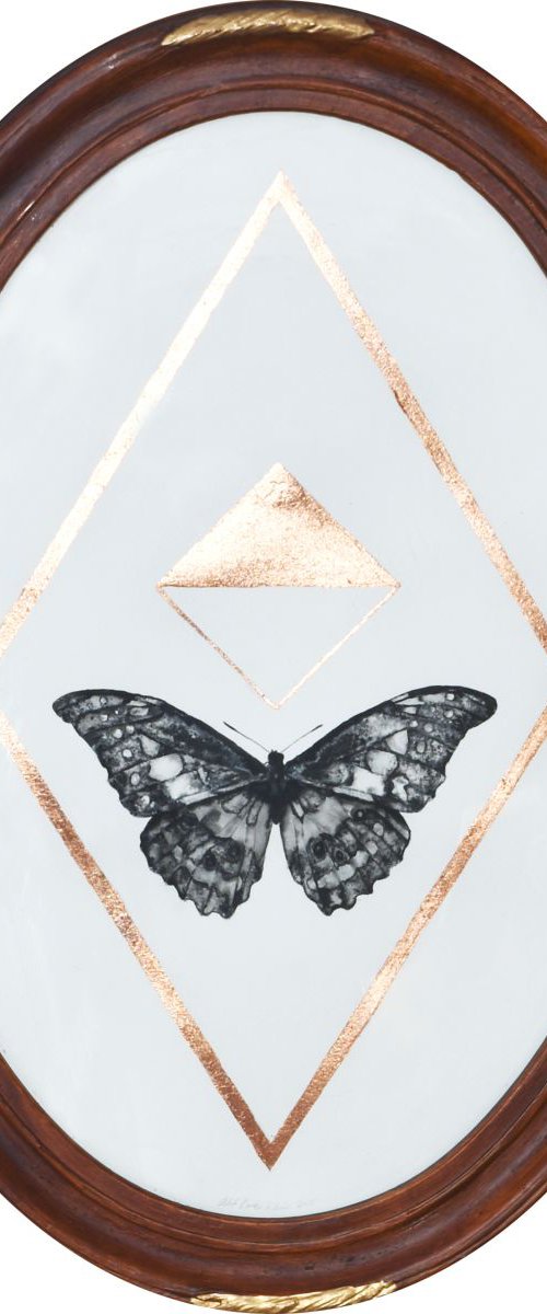 Butterfly in an oval convex frame by Alexa Karabin
