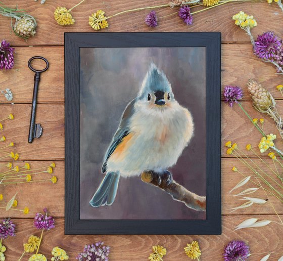 Lovely crested titmouse bird