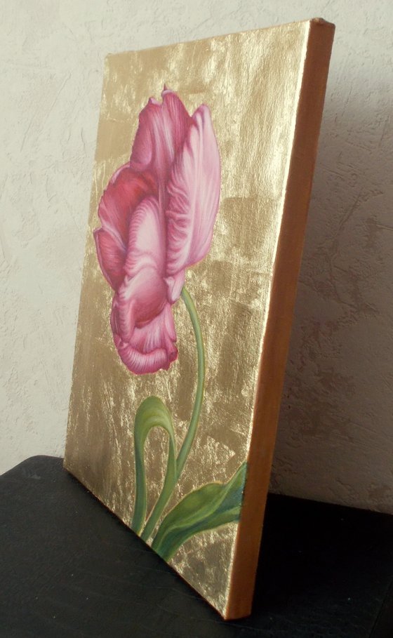 "Pink tulip"