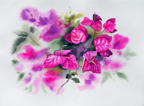 Bougainvillea flower