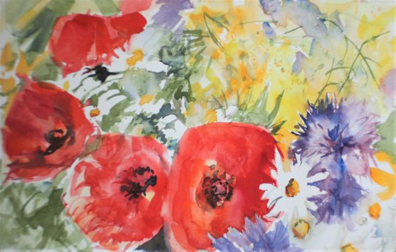 Poppies & co.