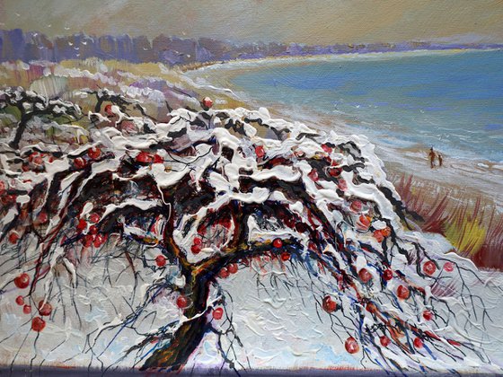 Ski Walk