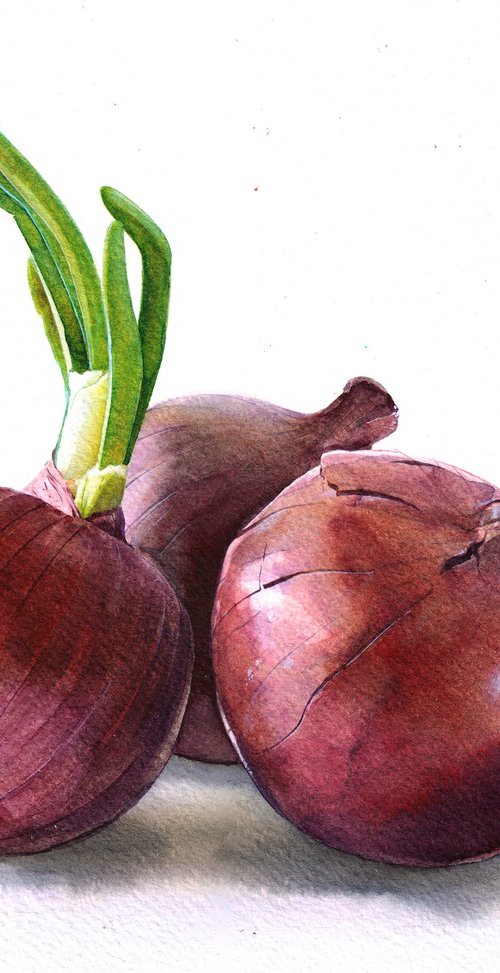 Red Onion by REME Jr.