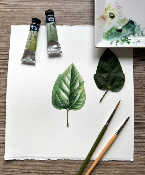 Hibiscus leaf. Original watercolor artwork.