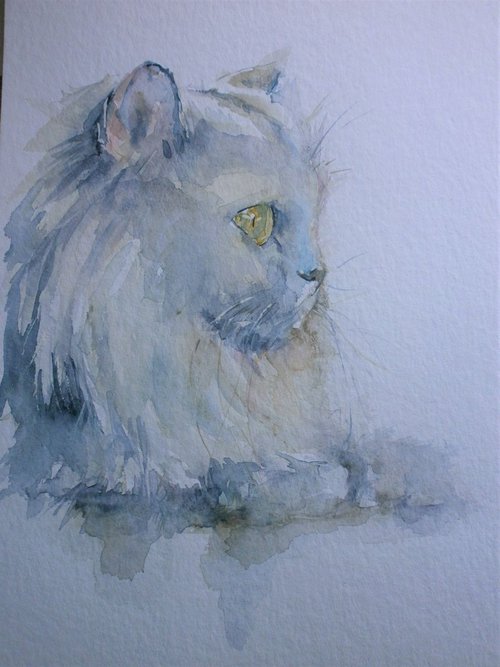 Persian cat in Watercolour by Sue  Green