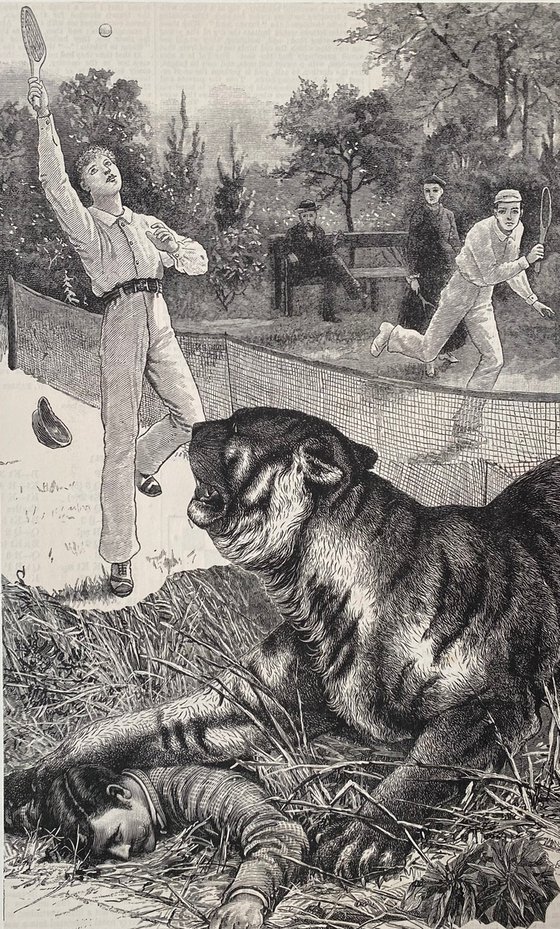 Tiger at the tennis match