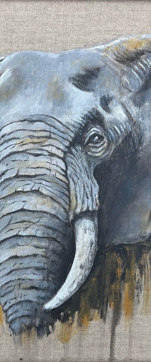Elephant Grey #1 by Sabrina’s Art