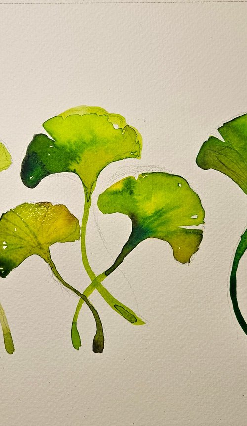 Harmony of Ginkgo by Simon Tünde