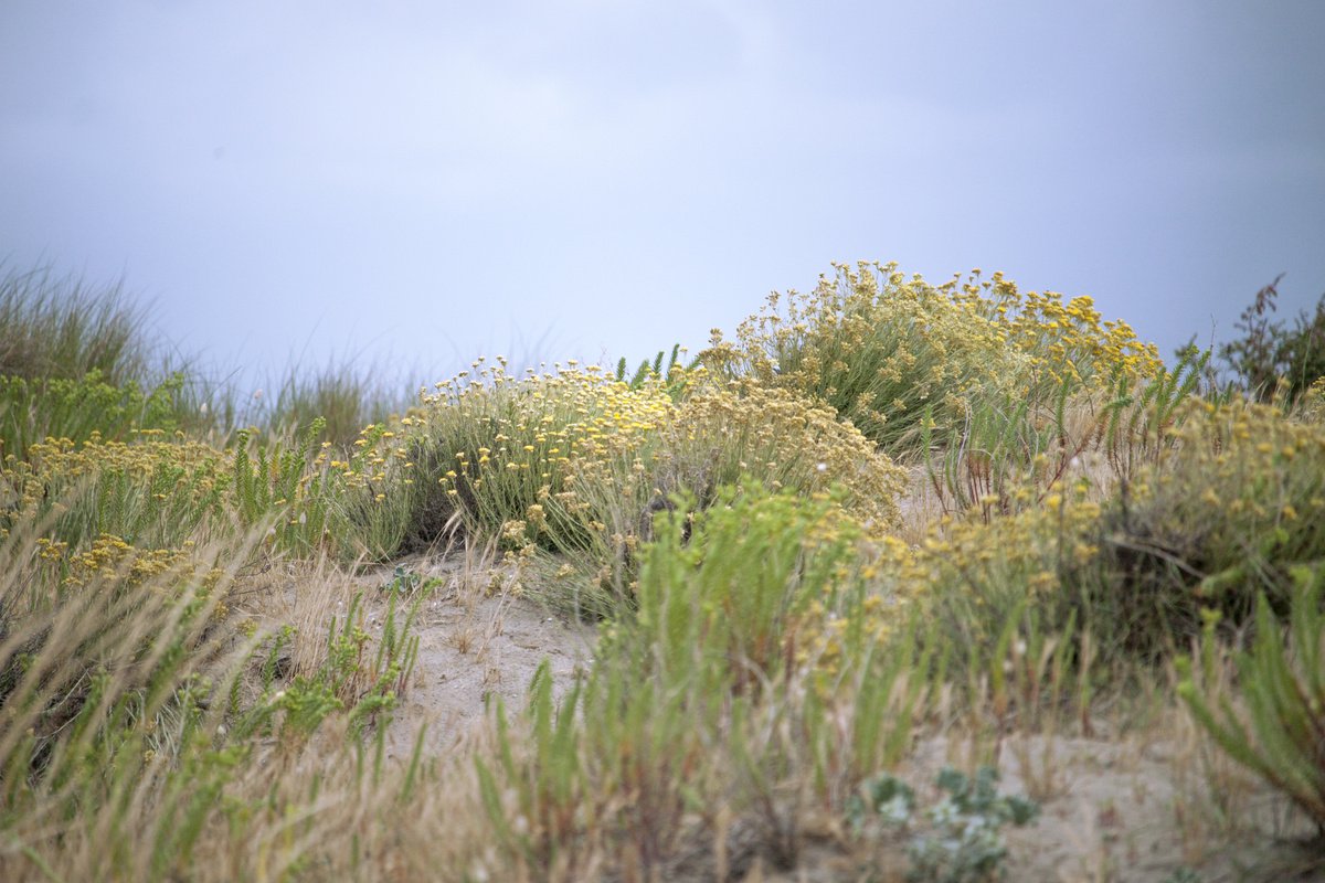 Photorealistic Landscape Photograph By Mattia Paoli, 59 X 39", Dune No.2, Original Artwork