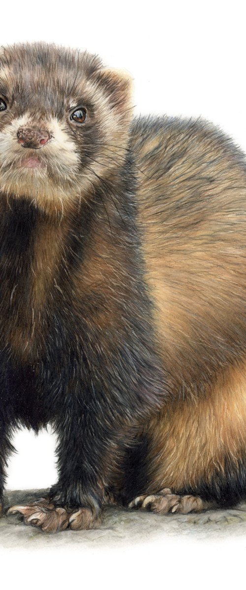 Mottie by Annika Schmitt