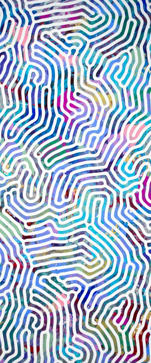 Identity Evolved by Sean Christopher Ward