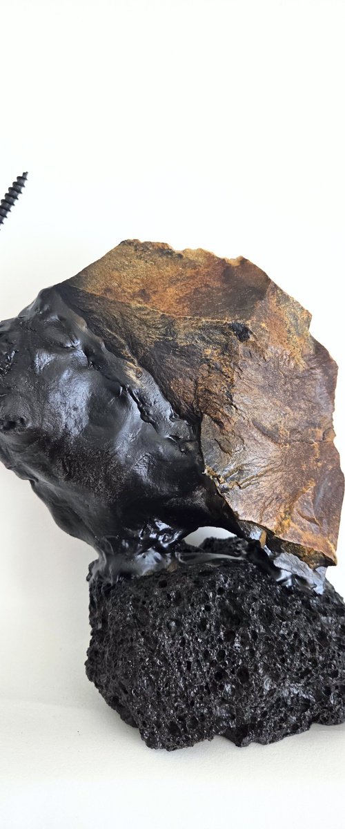 Amazing Bison by Arman Hambardzumyan