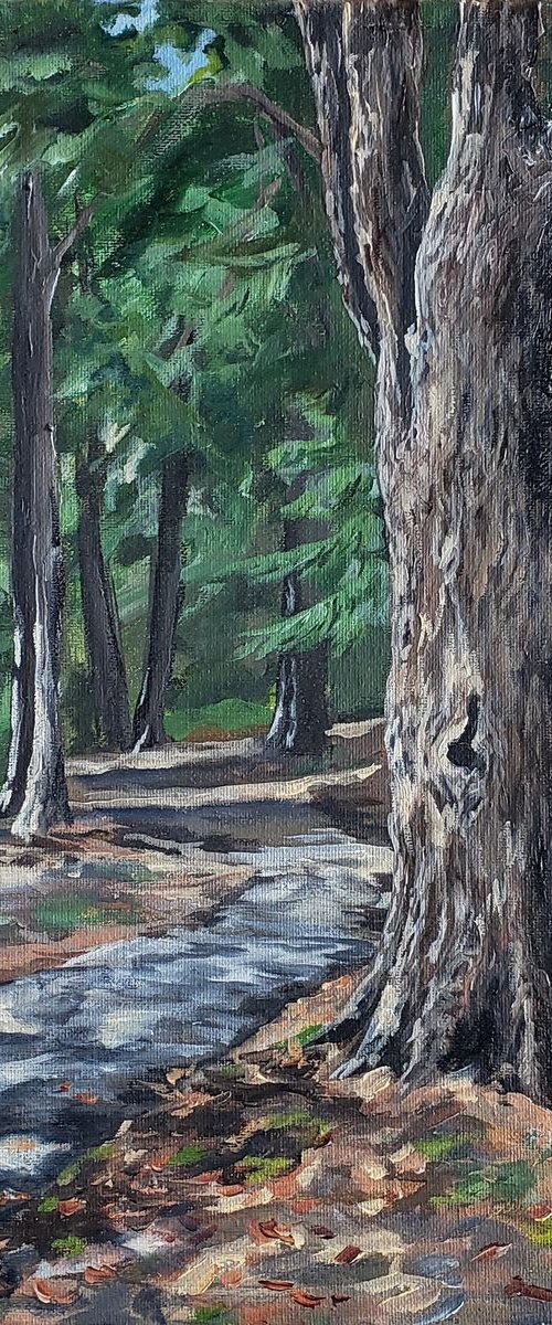 Walk Through the Woods by Katrina Case