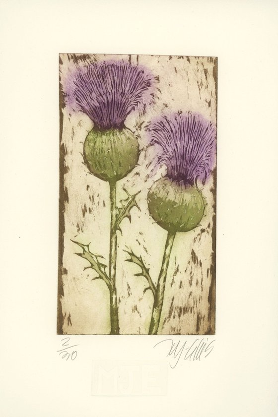 Thistle